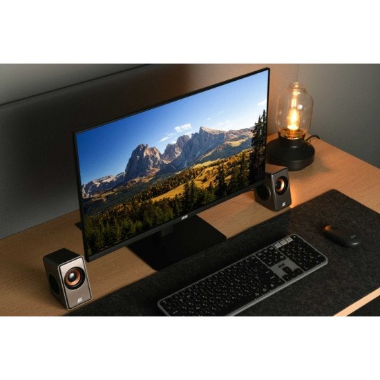 2E Монитор LCD 23.8