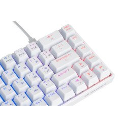 2E GAMING беспроводная клавиатура игровая KG370 RGB 68 KEY GATERON BLUE SWITCH White