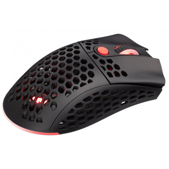 2E Gaming беспроводная игровая мышь HyperSpeed Lite WL RGB Black