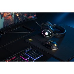2E GAMING Игровая поверхность CONTROL PG310 L BLACK