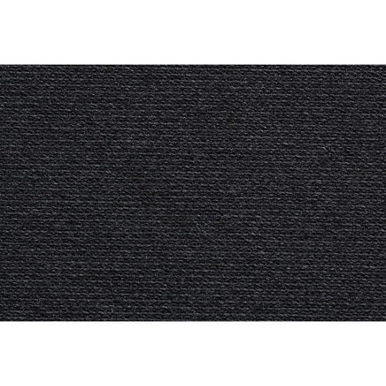 2E GAMING Игровая поверхность коврик PRO Speed M Black (360*275*3 mm)