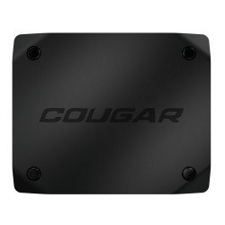 COUGAR Envision video capture streaming COUGAR Envision video capture streaming