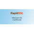 RapidSSL Сертификат домена Wildcard на 3 года