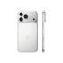Смартфон Apple iPhone 17 Pro Max 256GB Silver