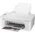 Canon PIXMA is-2499