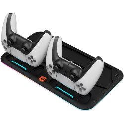 CANYON Подставка под Playstaion с зарядкой для геймпадов CS-PS5 черный