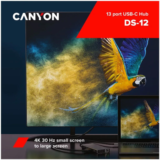 CANYON Hab 13 Portli USB-C DS-12