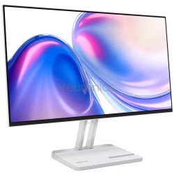 Lenovo L24-4C 24