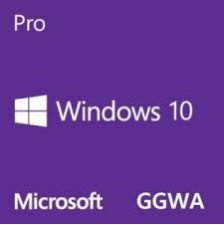 Microsoft Windows 10 Pro GGWA Licence