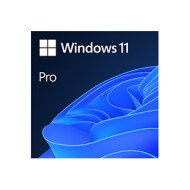 Microsoft Windows 11 Pro 64 Bit Все языки | Версия для цифровой загрузки (FQC-10572) Microsoft Windows 11 Pro 64 Bit Все языки | Версия для цифровой загрузки (FQC-10572)