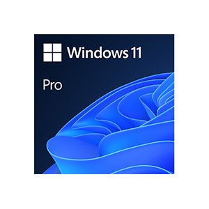 Microsoft Windows 11 Pro 64 Bit All Languages| Digital Download Version (FQC-10572)