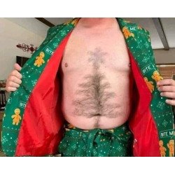 Archa Ёлка Елка 2022