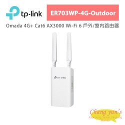 TP-Link ER703WP-4G-Outdoor VPN-маршрутизатор
