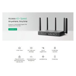 TP-Link ER706WP-4G VPN-маршрутизатор